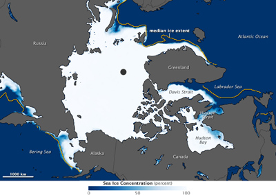 Superficie de hielo de la banquisa ártica en enero-11