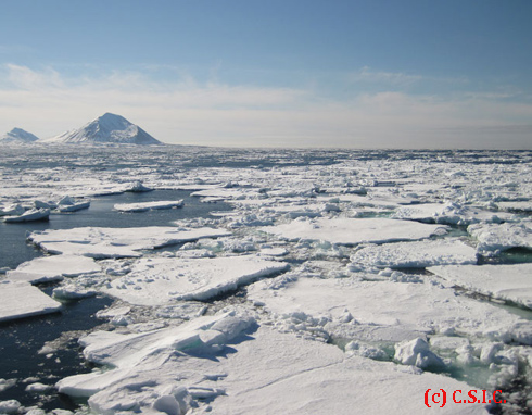 El CSIC ve signos de un cambio climático peligroso en el Ártico