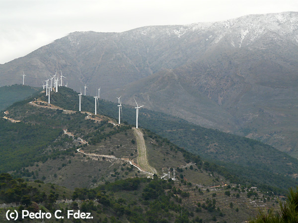Parque eólico en la Sierra de El Conjuro, Motril (Granada).