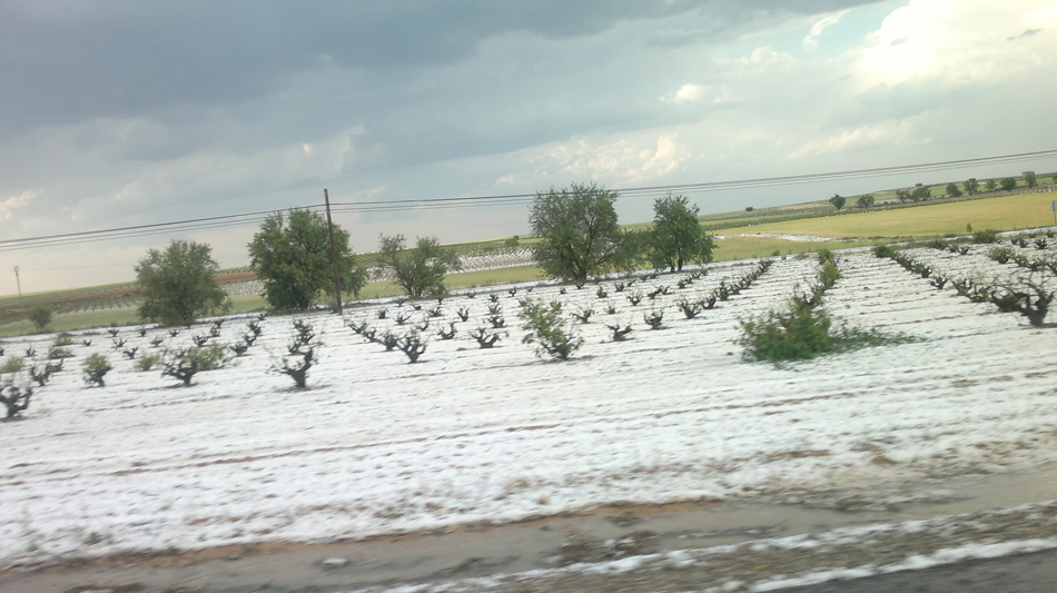 El pedrisco daña de forma considerable los cultivos de La Manchuela (Albacete)
