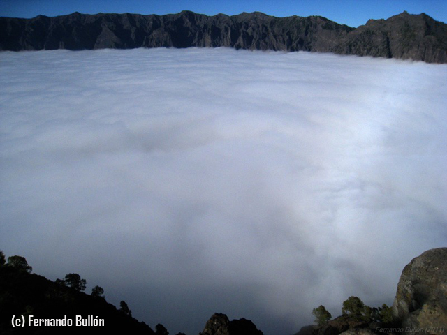 Se inaugura la exposición Canarias, un mar de nubes