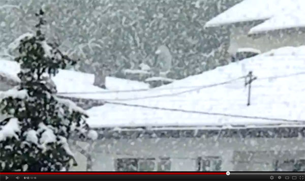 Captura de vídeo de la nevada en Sarajevo hoy.