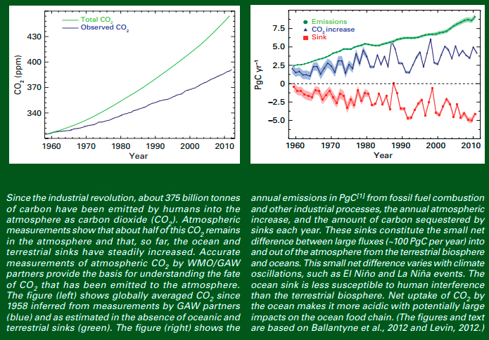 En 2011 la concentración de gases de efecto invernadero bate un nuevo récord