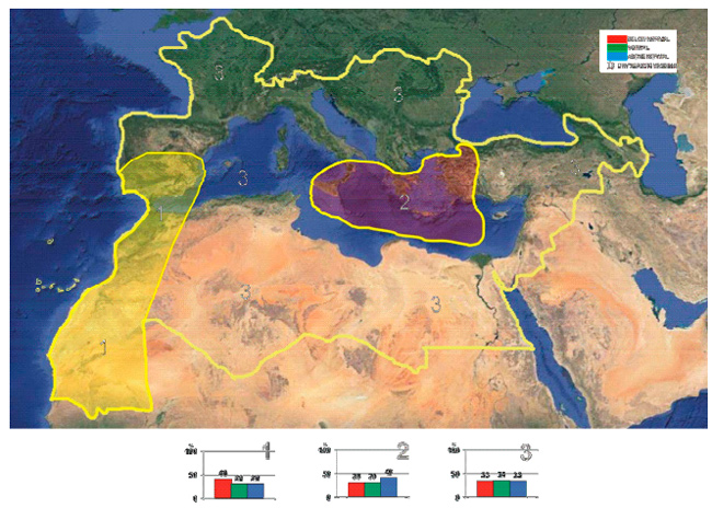 MedCOF: predicciones estacionales para la región mediterránea