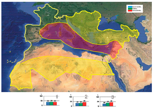 MedCOF: predicciones estacionales para la región mediterránea