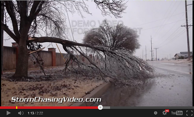 Imagen de una enorme rama, cedida bajo el peso del hielo sobre ella. Oklahoma.