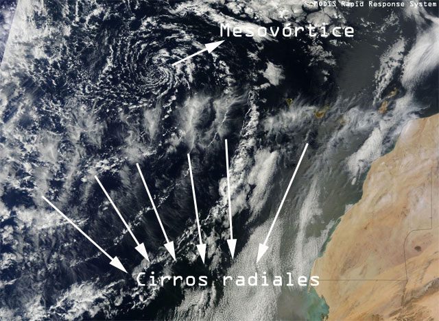 Imagen de alta resolución, con los cirros radiales y un mesovórtice, "vistos" a través del TERRA (MODIS).