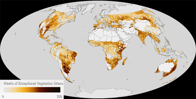 Semanas de estrés hídrico excepcional sobre la vegetación. Crédito: NOAA.