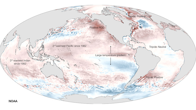 Anomalía media de la temperatura de las aguas superficiales de los océanos de la Tierra, año 2014. Crédito: NOAA.