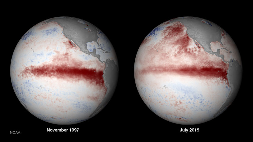 Comparación entre los episodios de El Niño, 1997 - 2015. Crédito: NASA.