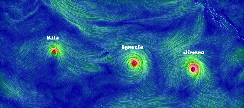 Flujo e intensidad de vientos a 850 hPa asociados a los tres huracanes, según la aplicación Earth Wind Map.