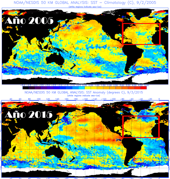 Comparativa de las anomalías de SST en el Atlántico Tropical y Subtropical, 2005 (arriba) vs 2015 (abajo).