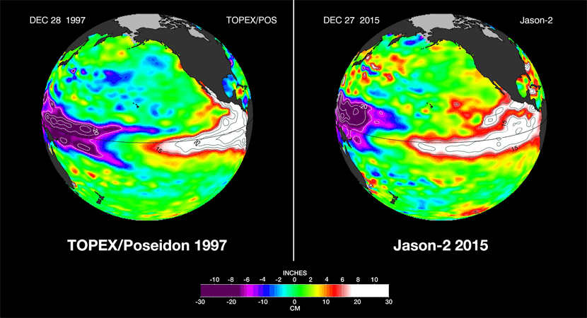 Comparativa El Niño 1997 vs El Niño 2015 en cuanto a anomalías del nivel de las aguas del Pacífico. Crédito: NASA.