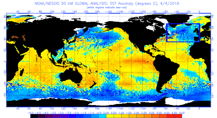 Anomalías de temperatura de las aguas superficiales de los mares y océanos del mundo, 4 de abril de 2016.