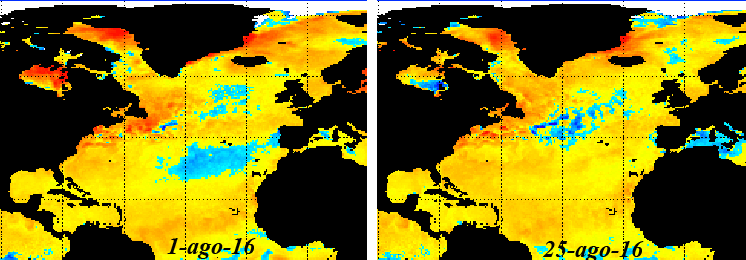 Comparativa de anomalías de temperatura de las aguas superficiales oceánicas en el Atlántico Norte. Crédito: NOAA.